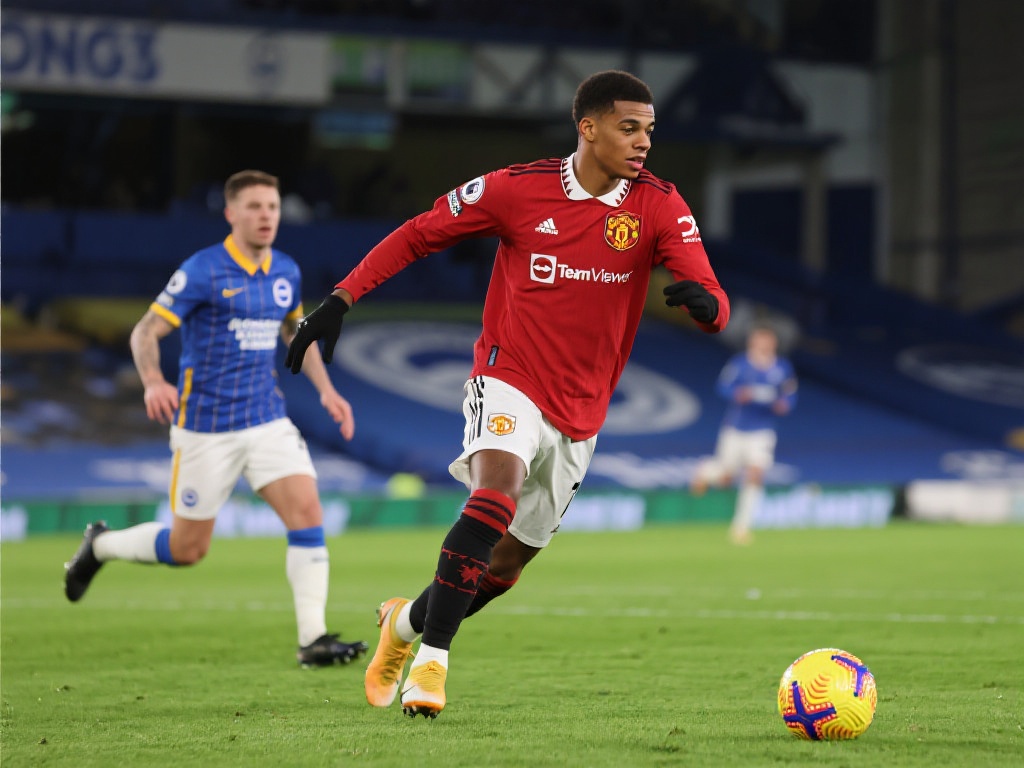 也成为她们 也成为她们